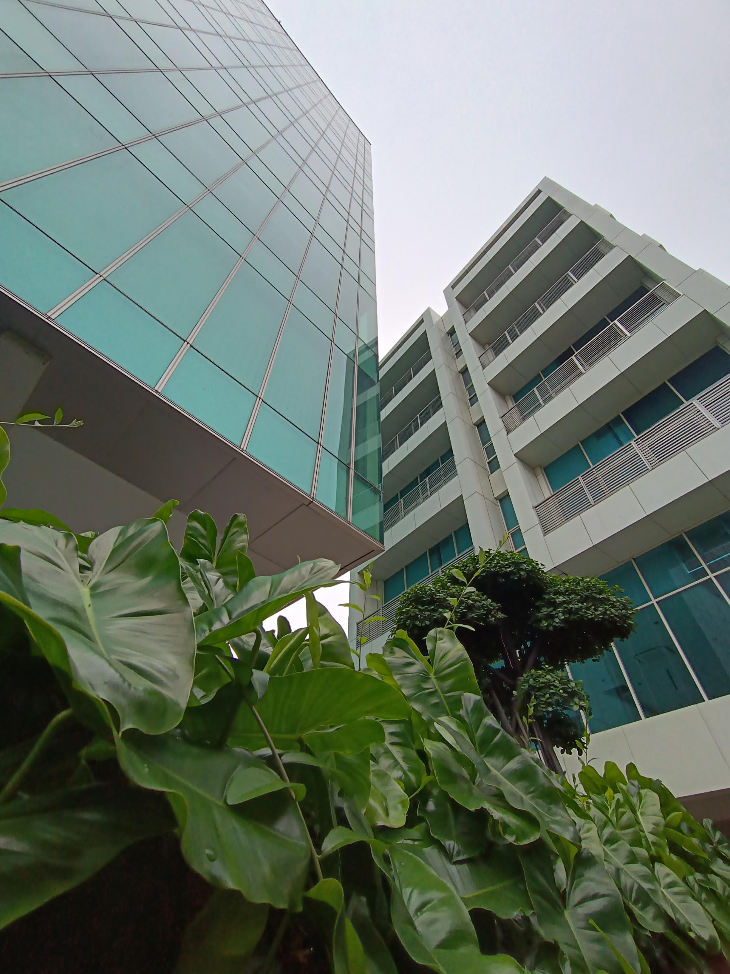 Tenant Logo